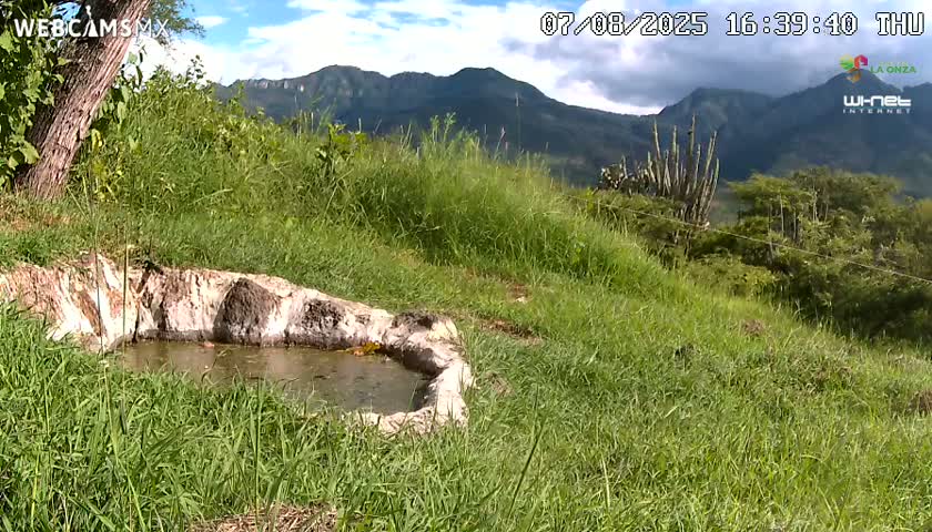 Rancho La Onza. Criadero Cattle Ranch Live Cam - San Luiz de la Paz, Guanajuato, Mexico