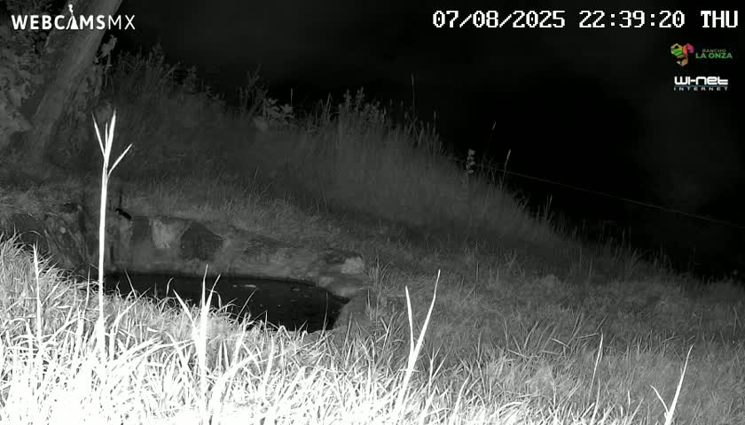 Rancho La Onza. Criadero Cattle Ranch Live Cam - San Luiz de la Paz, Guanajuato, Mexico