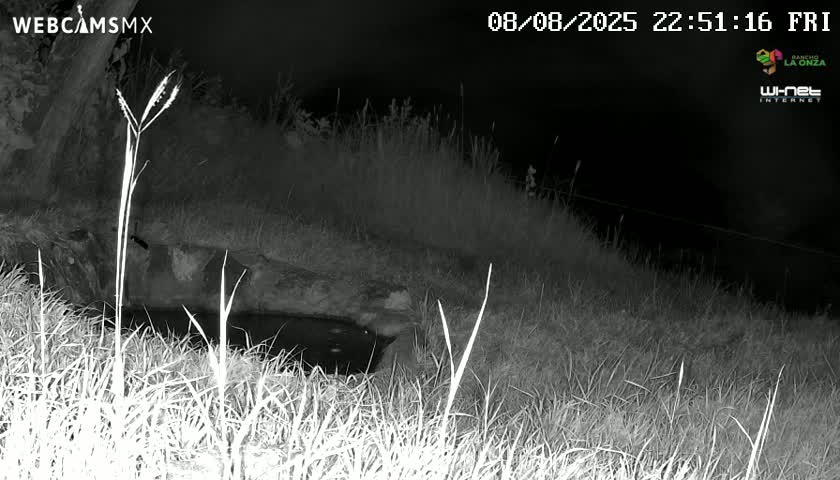 Rancho La Onza. Criadero Cattle Ranch Live Cam - San Luiz de la Paz, Guanajuato, Mexico