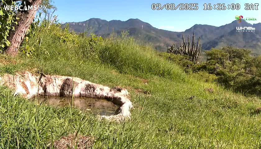 Rancho La Onza. Criadero Cattle Ranch Live Cam - San Luiz de la Paz, Guanajuato, Mexico