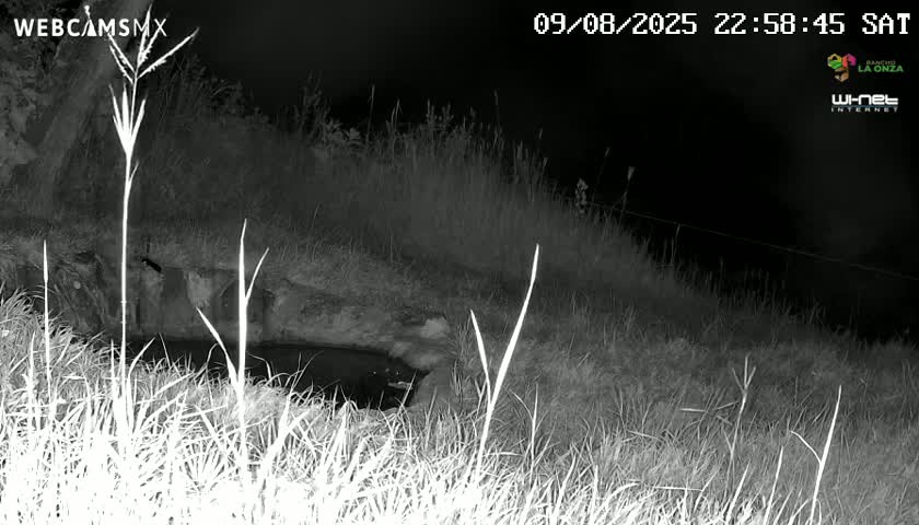 Rancho La Onza. Criadero Cattle Ranch Live Cam - San Luiz de la Paz, Guanajuato, Mexico