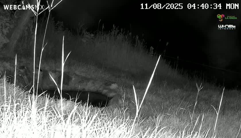 Rancho La Onza. Criadero Cattle Ranch Live Cam - San Luiz de la Paz, Guanajuato, Mexico