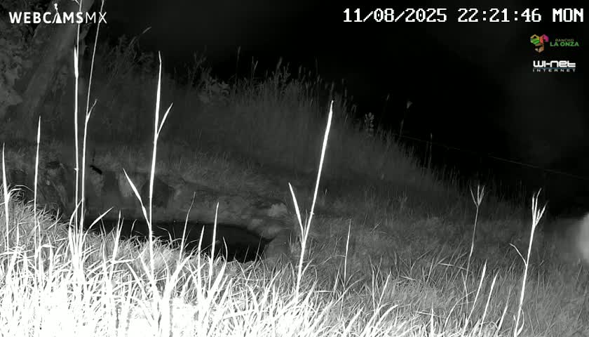 Rancho La Onza. Criadero Cattle Ranch Live Cam - San Luiz de la Paz, Guanajuato, Mexico