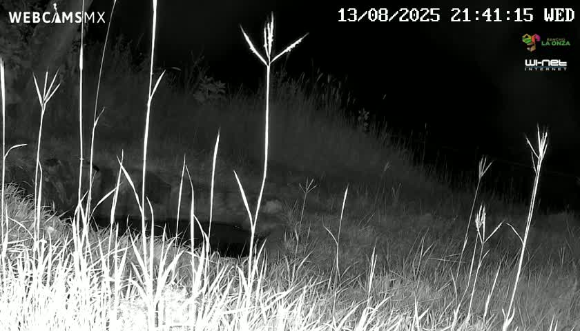 Rancho La Onza. Criadero Cattle Ranch Live Cam - San Luiz de la Paz, Guanajuato, Mexico