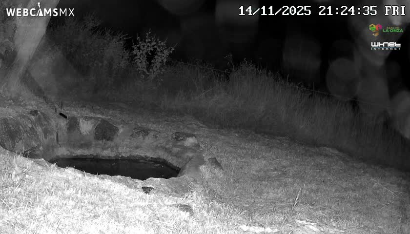 Rancho La Onza. Criadero Cattle Ranch Live Cam - San Luiz de la Paz, Guanajuato, Mexico