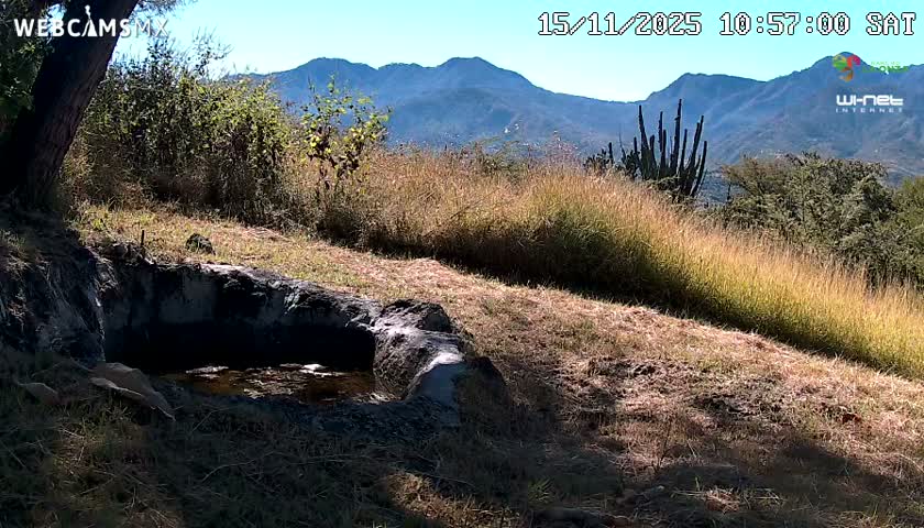 Rancho La Onza. Criadero Cattle Ranch Live Cam - San Luiz de la Paz, Guanajuato, Mexico