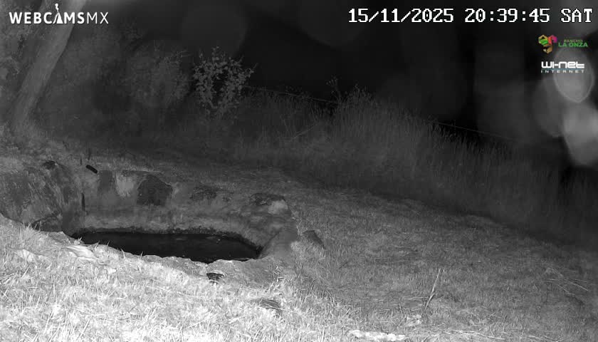 Rancho La Onza. Criadero Cattle Ranch Live Cam - San Luiz de la Paz, Guanajuato, Mexico