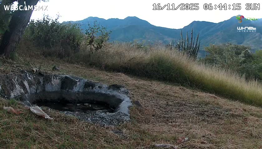 Rancho La Onza. Criadero Cattle Ranch Live Cam - San Luiz de la Paz, Guanajuato, Mexico