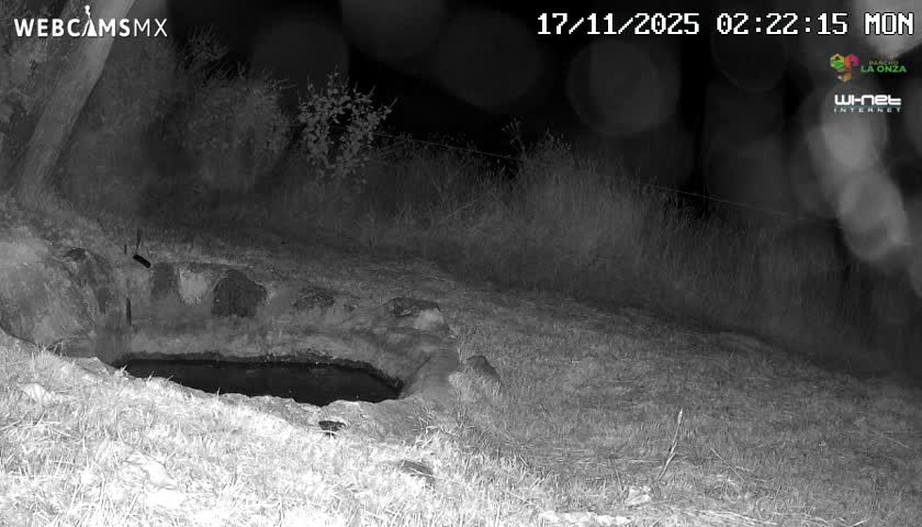 Rancho La Onza. Criadero Cattle Ranch Live Cam - San Luiz de la Paz, Guanajuato, Mexico