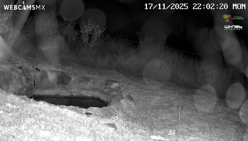 Rancho La Onza. Criadero Cattle Ranch Live Cam - San Luiz de la Paz, Guanajuato, Mexico