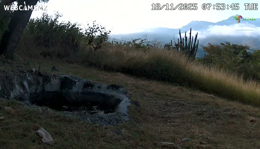 Rancho La Onza. Criadero Cattle Ranch Live Cam - San Luiz de la Paz, Guanajuato, Mexico