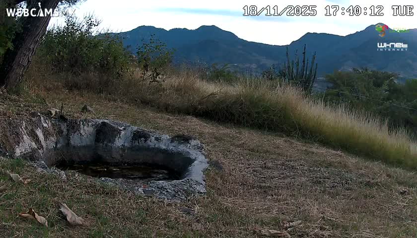 Rancho La Onza. Criadero Cattle Ranch Live Cam - San Luiz de la Paz, Guanajuato, Mexico