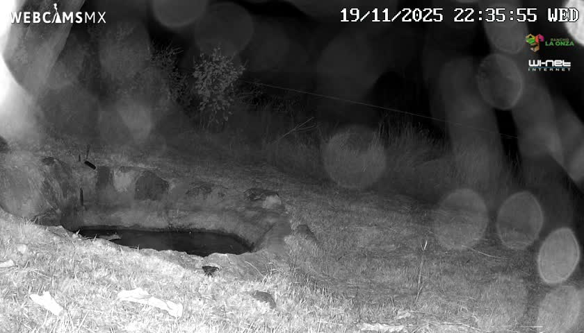 Rancho La Onza. Criadero Cattle Ranch Live Cam - San Luiz de la Paz, Guanajuato, Mexico