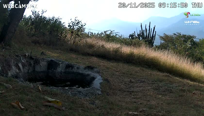 Rancho La Onza. Criadero Cattle Ranch Live Cam - San Luiz de la Paz, Guanajuato, Mexico