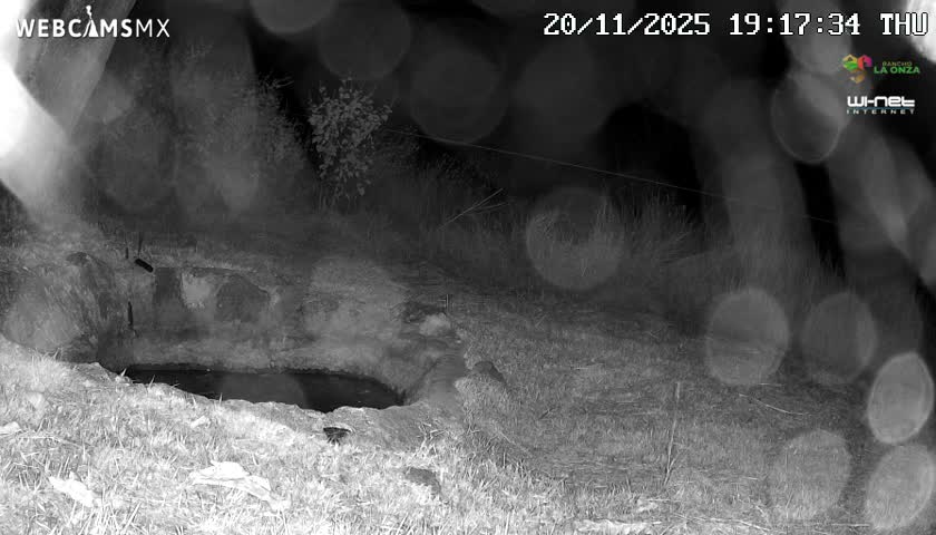 Rancho La Onza. Criadero Cattle Ranch Live Cam - San Luiz de la Paz, Guanajuato, Mexico