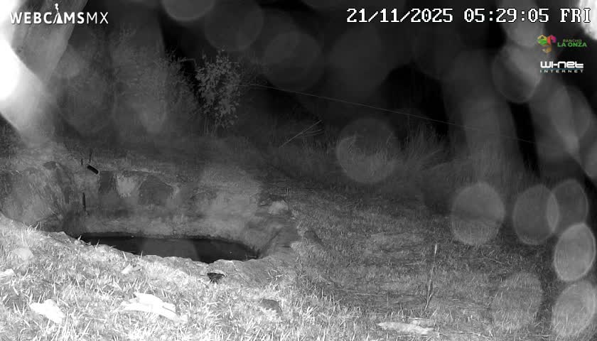 Rancho La Onza. Criadero Cattle Ranch Live Cam - San Luiz de la Paz, Guanajuato, Mexico