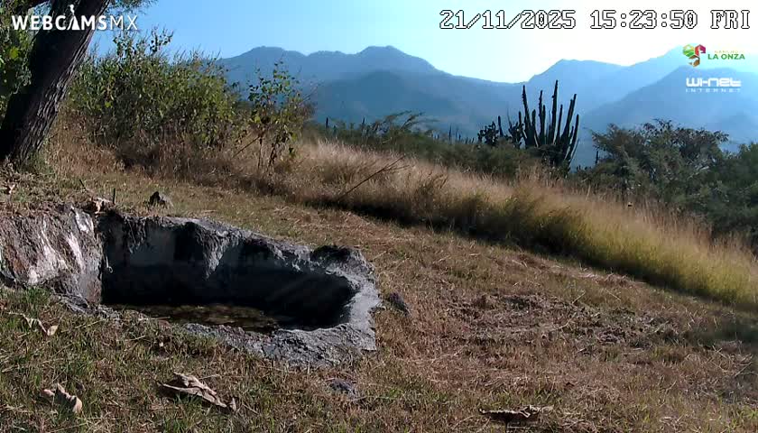Rancho La Onza. Criadero Cattle Ranch Live Cam - San Luiz de la Paz, Guanajuato, Mexico