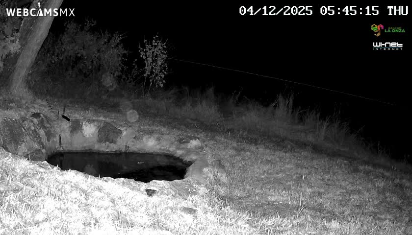 Rancho La Onza. Criadero Cattle Ranch Live Cam - San Luiz de la Paz, Guanajuato, Mexico