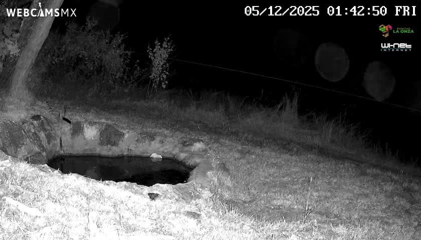 Rancho La Onza. Criadero Cattle Ranch Live Cam - San Luiz de la Paz, Guanajuato, Mexico