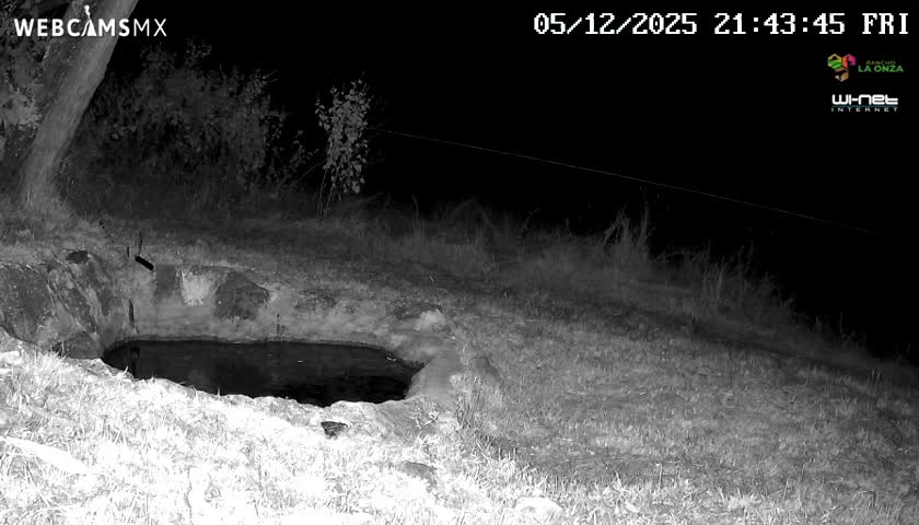 Rancho La Onza. Criadero Cattle Ranch Live Cam - San Luiz de la Paz, Guanajuato, Mexico