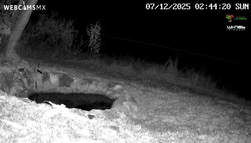 Rancho La Onza. Criadero Cattle Ranch Live Cam - San Luiz de la Paz, Guanajuato, Mexico