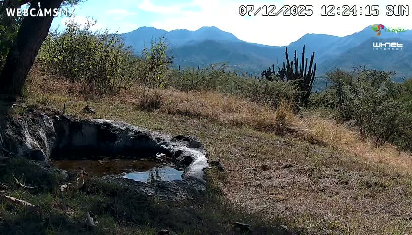 Rancho La Onza. Criadero Cattle Ranch Live Cam - San Luiz de la Paz, Guanajuato, Mexico