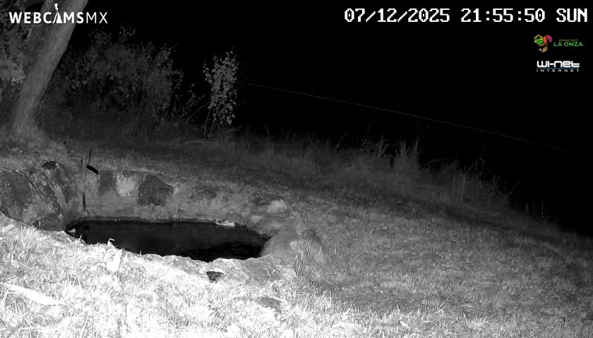 Rancho La Onza. Criadero Cattle Ranch Live Cam - San Luiz de la Paz, Guanajuato, Mexico