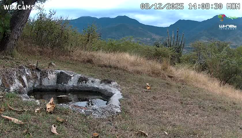 Rancho La Onza. Criadero Cattle Ranch Live Cam - San Luiz de la Paz, Guanajuato, Mexico