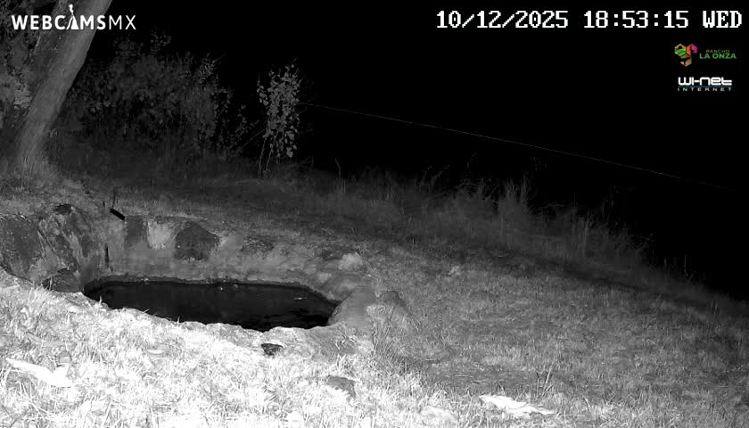 Rancho La Onza. Criadero Cattle Ranch Live Cam - San Luiz de la Paz, Guanajuato, Mexico