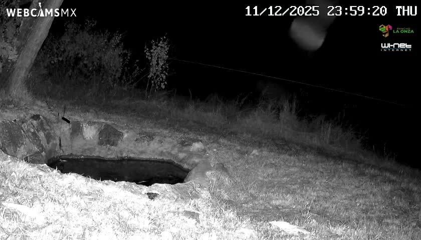 Rancho La Onza. Criadero Cattle Ranch Live Cam - San Luiz de la Paz, Guanajuato, Mexico