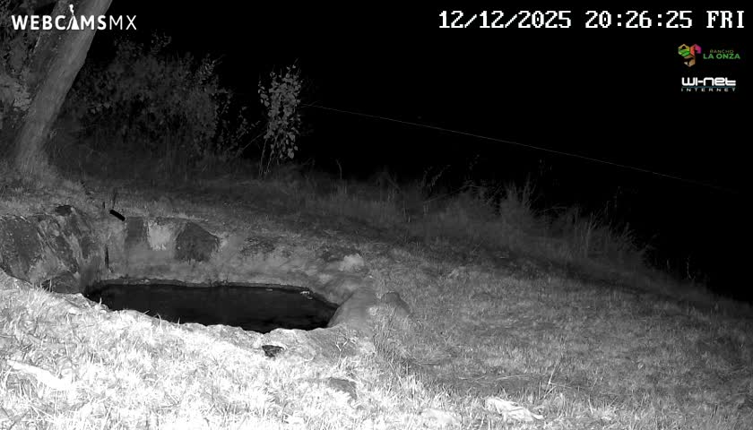 Rancho La Onza. Criadero Cattle Ranch Live Cam - San Luiz de la Paz, Guanajuato, Mexico