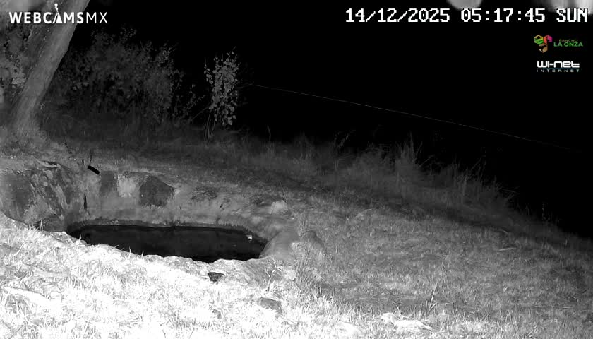 An infrared night vision image, blurred by apparent moisture on the lens, shows a small dark animal near a rock-lined watering hole amidst grass and trees in a natural outdoor setting at night.
