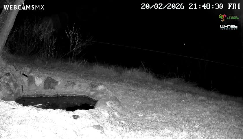 Rancho La Onza. Criadero Cattle Ranch Live Cam - San Luiz de la Paz, Guanajuato, Mexico