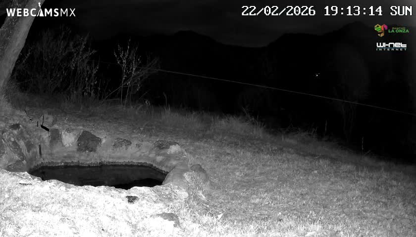 Rancho La Onza. Criadero Cattle Ranch Live Cam - San Luiz de la Paz, Guanajuato, Mexico