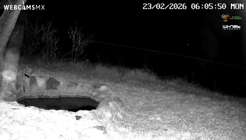 Rancho La Onza. Criadero Cattle Ranch Live Cam - San Luiz de la Paz, Guanajuato, Mexico