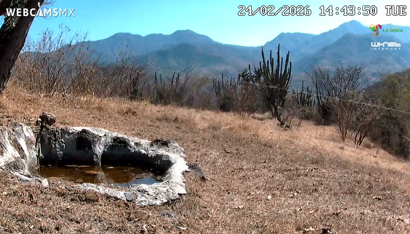 Rancho La Onza. Criadero Cattle Ranch Live Cam - San Luiz de la Paz, Guanajuato, Mexico