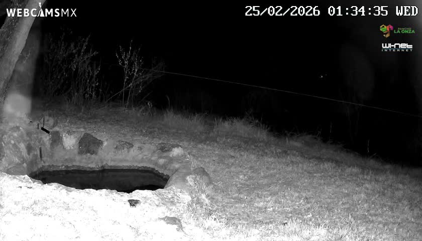 Rancho La Onza. Criadero Cattle Ranch Live Cam - San Luiz de la Paz, Guanajuato, Mexico
