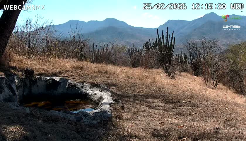 Rancho La Onza. Criadero Cattle Ranch Live Cam - San Luiz de la Paz, Guanajuato, Mexico