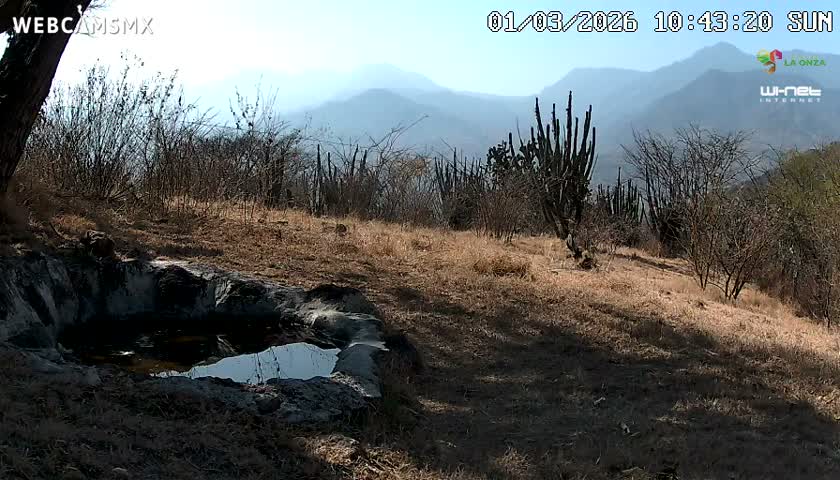 Rancho La Onza. Criadero Cattle Ranch Live Cam - San Luiz de la Paz, Guanajuato, Mexico