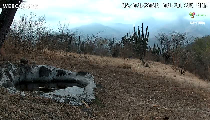 Rancho La Onza. Criadero Cattle Ranch Live Cam - San Luiz de la Paz, Guanajuato, Mexico