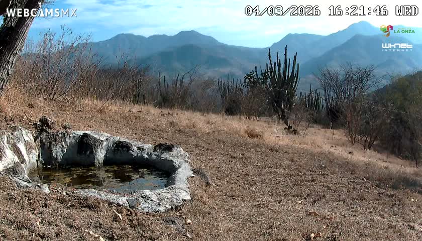 Rancho La Onza. Criadero Cattle Ranch Live Cam - San Luiz de la Paz, Guanajuato, Mexico