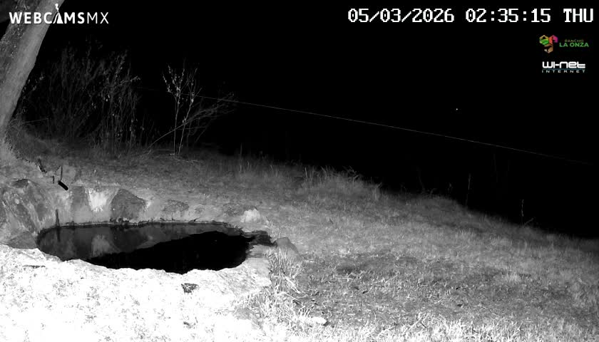 Rancho La Onza. Criadero Cattle Ranch Live Cam - San Luiz de la Paz, Guanajuato, Mexico