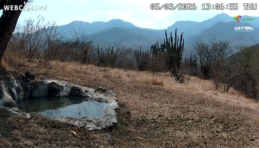 Rancho La Onza. Criadero Cattle Ranch Live Cam - San Luiz de la Paz, Guanajuato, Mexico