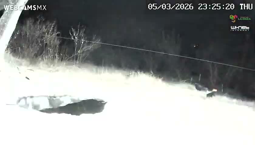 Rancho La Onza. Criadero Cattle Ranch Live Cam - San Luiz de la Paz, Guanajuato, Mexico