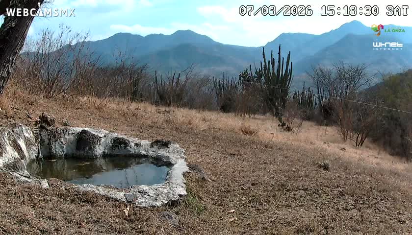 Rancho La Onza. Criadero Cattle Ranch Live Cam - San Luiz de la Paz, Guanajuato, Mexico