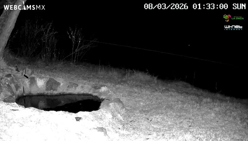 Rancho La Onza. Criadero Cattle Ranch Live Cam - San Luiz de la Paz, Guanajuato, Mexico