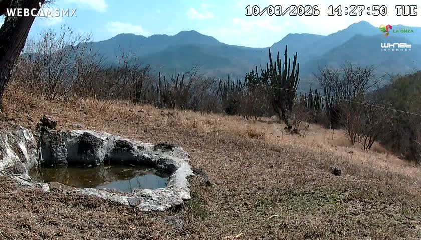 Rancho La Onza. Criadero Cattle Ranch Live Cam - San Luiz de la Paz, Guanajuato, Mexico
