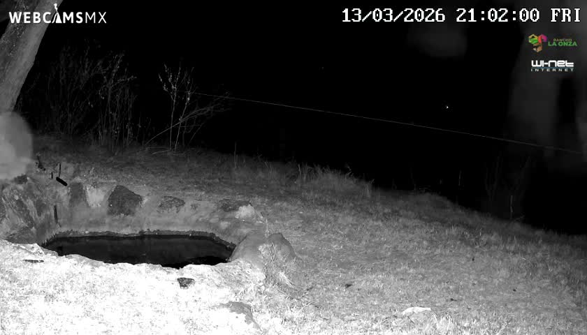 Rancho La Onza. Criadero Cattle Ranch Live Cam - San Luiz de la Paz, Guanajuato, Mexico