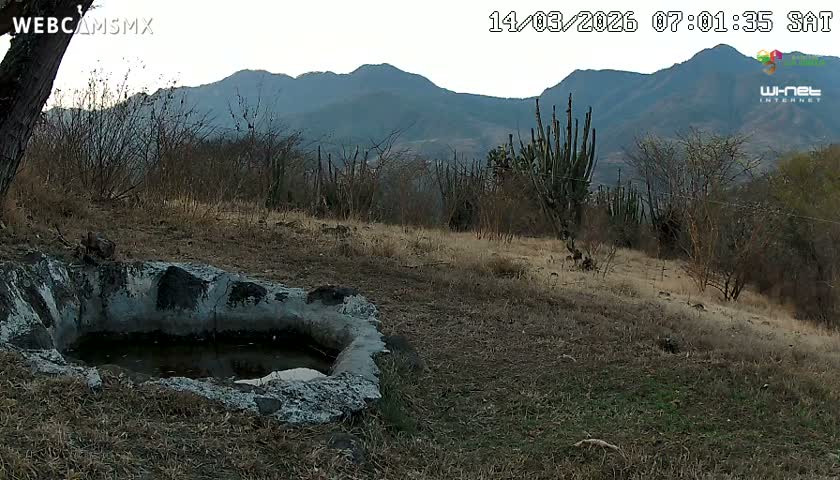 Rancho La Onza. Criadero Cattle Ranch Live Cam - San Luiz de la Paz, Guanajuato, Mexico