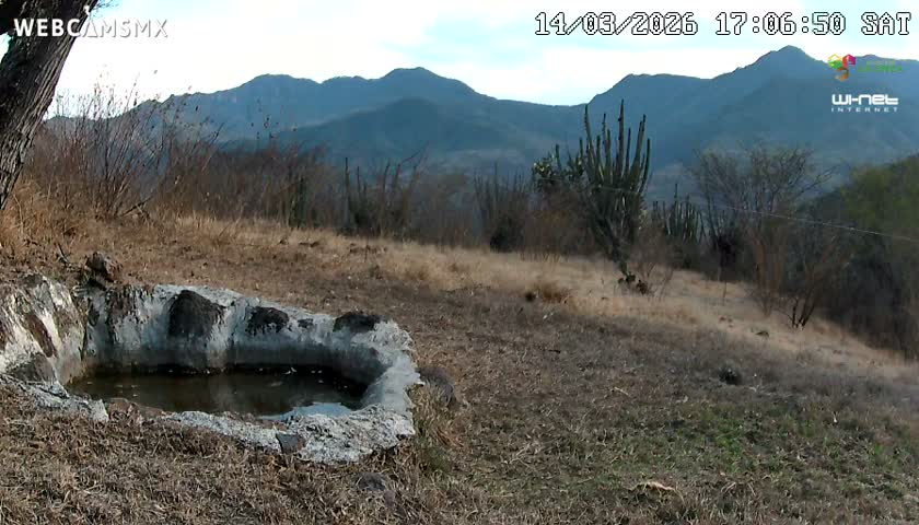 Rancho La Onza. Criadero Cattle Ranch Live Cam - San Luiz de la Paz, Guanajuato, Mexico